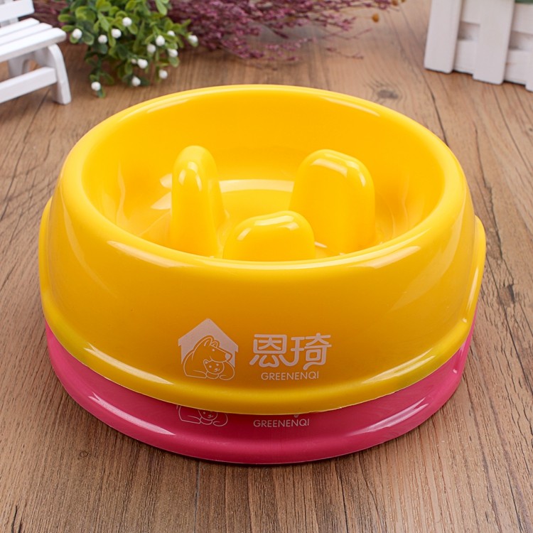 dog bowl to slow feeding.JPG